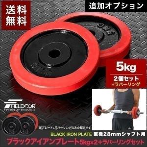 1年保証 バーベル 用 プレート 10kg 2個セット ブラックアイアン