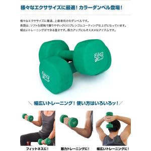 1年保証 ダンベル 6kg 2個セット 合計1...の詳細画像2