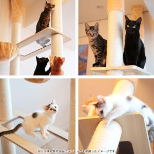 1年保証 キャットツリー タワー 麻ひも 突っ...の詳細画像4