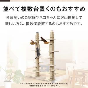 1年保証 キャットツリー タワー 全高240-...の詳細画像3