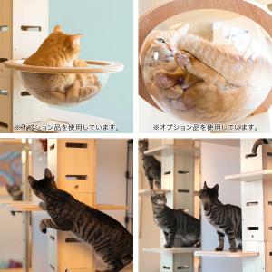 1年保証 キャットツリー タワー 全高240-...の詳細画像5