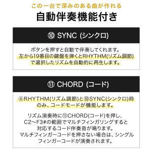 1年保証 電子キーボード 61鍵盤 電子ピアノ...の詳細画像5