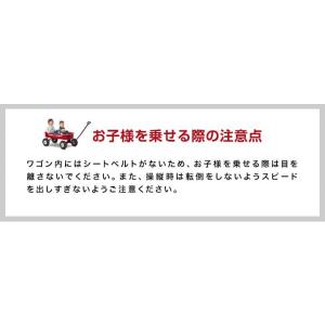 1年保証 キャリーカート キャリーワゴン 台車...の詳細画像5