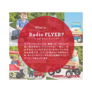 1年保証 キャリー カート 台車 折りたたみ ...の詳細画像4