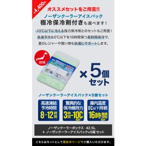 1年保証 クーラーボックス 大型 42.5L ...の詳細画像5
