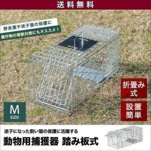 1年保証 動物捕獲器 アニマルトラップ Mサイズ 25x66x26cm 小動物 猫用 踏板式 バネ式 迷子猫 野良猫 犬 イタチ ねずみ 害獣 保護 簡単設置 安全設計 送料無料