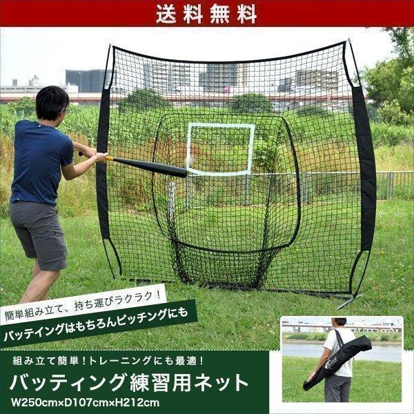 1年保証 バッティングネット 野球 練習 ネット 大型 2.5m 250cm×212cm 自宅 庭 ...