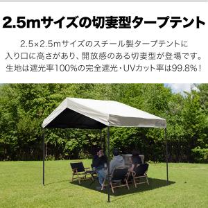 1年保証 タープテント ワンタッチ 2.5m ...の詳細画像1