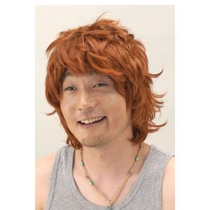 イケメンサーファー イベント ウィッグ かつら グッズ コスプレ ジョーク パーティー ミディアム メンズ 宴会 仮装 男性用