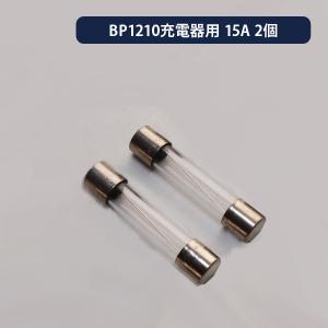 BP-1210用スペアヒューズ 15A×2