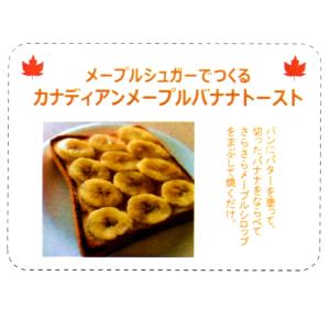 無添加 メープルシュガー 顆粒 1kg 豊かな...の詳細画像4