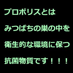 20袋で送料無料 お得 まとめ買い プロポリス...の詳細画像4