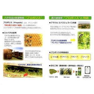 20袋で送料無料 お得 まとめ買い プロポリス...の詳細画像5