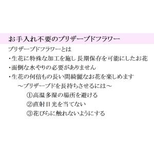 仏花 プリザーブドフラワー お供え お悔やみ ...の詳細画像4