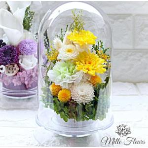 化粧箱入り　ドーム　仏花　華（はな） お供え 菊 四十九日 エアロドーム 　イエロー