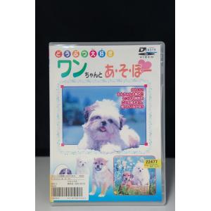 5100090 どうぶつ大好き ワンちゃんとあ・そ・ぼー ※中古DVD（レンタル落ち）(ジャケット日焼けあり)