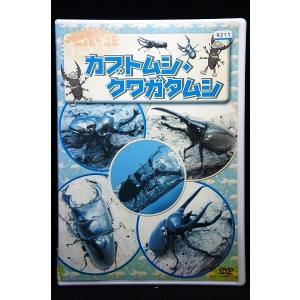DVD 約330枚以上セット　大量　中古 5100330 わくわくDVDずかん3 いろいろな建設車編 ※中古DVD（レンタル