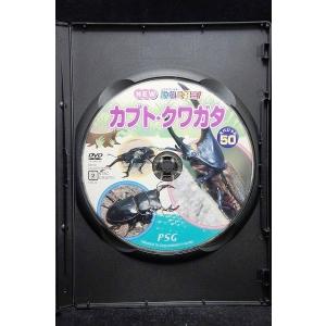 5100335 動物大好き!NEW カブト・ク...の詳細画像2