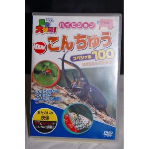 わくわく DVDずかん 5 いろいろな警察車両編 ※中古DVD（レンタル落ち