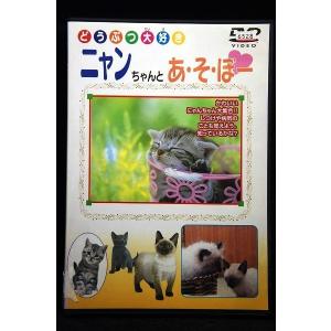 5100338 どうぶつ大好き ニャンちゃんとあ・そ・ぼー ※中古DVD（レンタル落ち）
