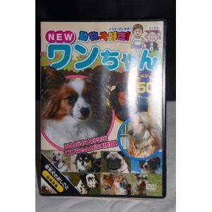 動物大好き!NEW ワンちゃん スペシャル 50 ※中古DVD（レンタル落ち）