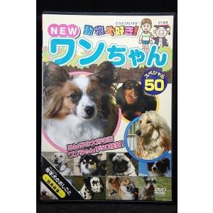 5100344 フレ!フレ!ダンス ※中古DVD（レンタル落ち） : OneLifeYahoo