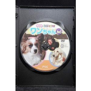 5100340 動物大好き!NEW ワンちゃん...の詳細画像2