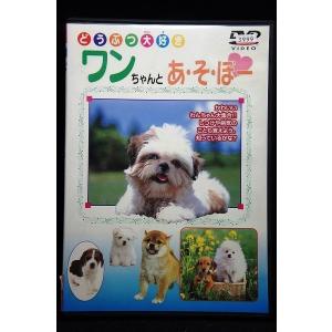 5100341 どうぶつ大好き ワンちゃんとあ・そ・ぼー※中古DVD（レンタル落ち）