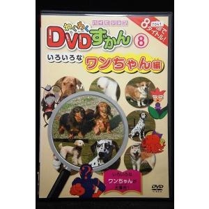 レンタル落ちDVD Zアイランド レンタル落ち 中古 DVD ホラー : Value Market - 通販