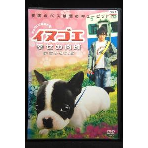 ラバーガール solo live+ GIRL レンタル落ち 中古 DVD : 遊ING畝刈店