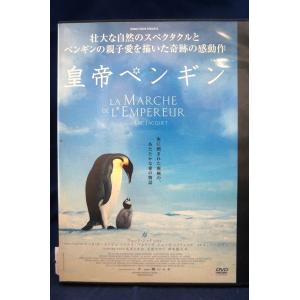 9100895 山口敏太郎B-FILE 帝都怨霊結界図 徳川版ダヴィンチ