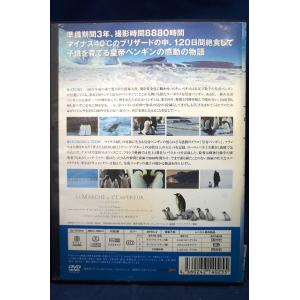 9100599 皇帝ペンギン 【中古品DVD】...の詳細画像1