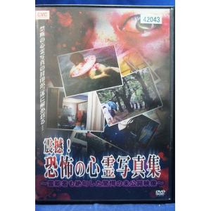 心霊映像 DVD 11点セット(レンタル落ち) pinebook_c5493