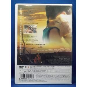 9101383 ロック わんこの島【中古品DV...の詳細画像1