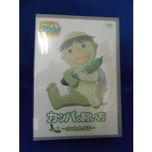 5100150 きらりん☆レボリューション STAGE13※中古DVD（レンタル落ち