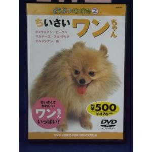 9701376【中古品DVD】どうぶつだいすき！２ ちいさいワンちゃん ※レンタル落ち