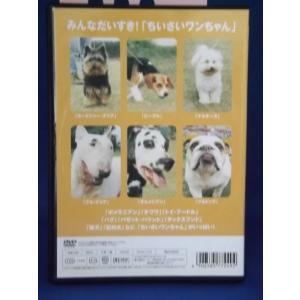 9701376【中古品DVD】どうぶつだいすき...の詳細画像1