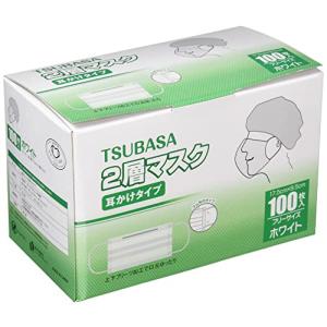 2層式マスク 耳かけタイプ 不織布マスク 業務用 食品の取り扱い ホコリ防止 立体プリーツ加工 フリーサイズ 使い捨てマスク 2PL