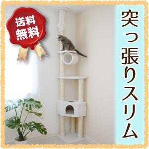 キャットタワー 突っ張り型 CT-A23...