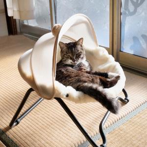 猫 ベッド ハンモック 夏 通年 オールシーズ...の詳細画像5
