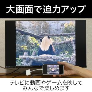 Apple アップル 純正 ライトニング デジ...の詳細画像1