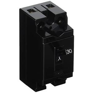 テンパール 安全ブレーカ B-2EA 30A