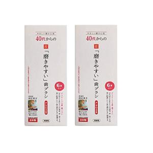 歯ブラシ職人 田辺重吉考案  LT-59 40代からの歯ブラシ 先細毛6本セット×2個