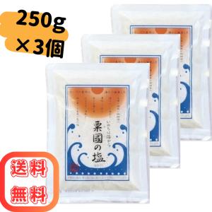 粟國の塩 釜炊き 250g×3個 沖縄海塩研究所 粟国 塩 沖縄ミネラル研究所 健康 ミネラル 沖縄 ネコポス