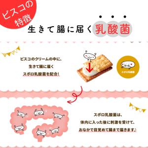 ビスコ 保存缶 30枚×4缶 グリコ 非常食 ...の詳細画像3