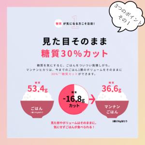 マンナンヒカリ 大塚食品 業務用 1kg ダイ...の詳細画像2