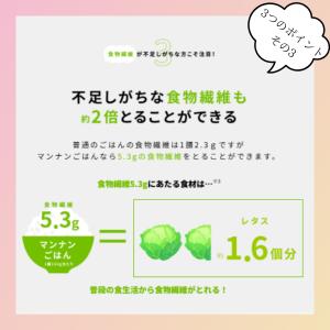 マンナンヒカリ 大塚食品 業務用 1kg ダイ...の詳細画像4