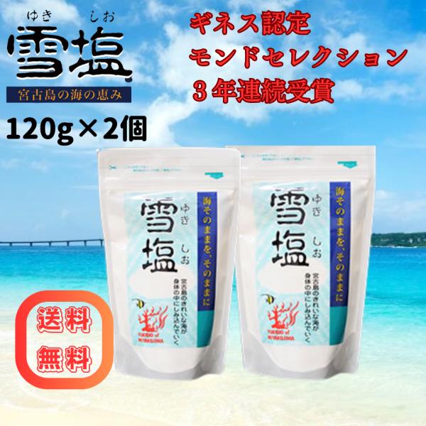 雪塩 120g×2個 パラダイスプラン 宮古島 ミネラル 無添加 パウダー 塩 しお 甘味 天ぷら塩...