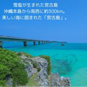 雪塩 120g×3個 パラダイスプラン 宮古島...の詳細画像3
