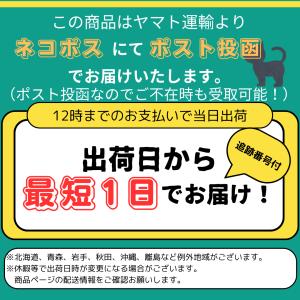雪塩 120g×3個 パラダイスプラン 宮古島...の詳細画像5